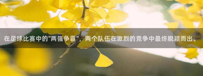  在足球比赛中的\