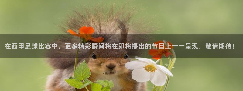在西甲足球比赛中，更多精彩瞬间将在即将播出的节目上一一呈现，