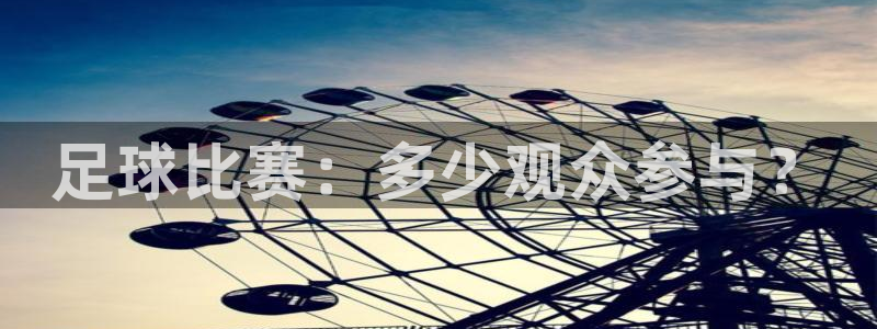  足球比赛：多少观众参与？
