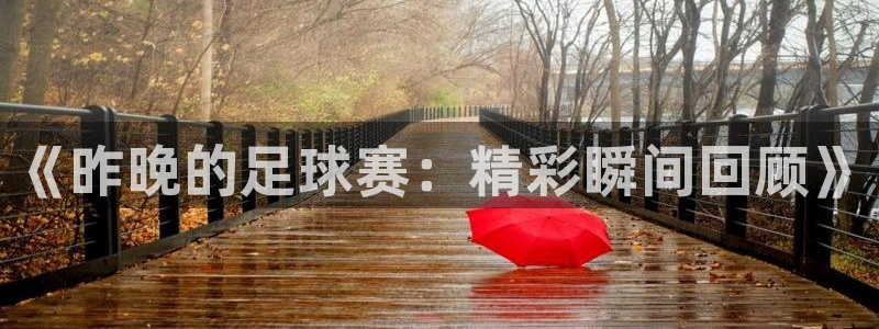  《昨晚的足球赛：精彩瞬间回顾》