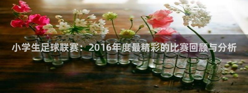  小学生足球联赛：2016年度最精彩的比赛回顾与分析