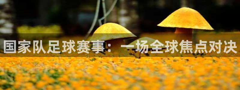  国家队足球赛事：一场全球焦点对决