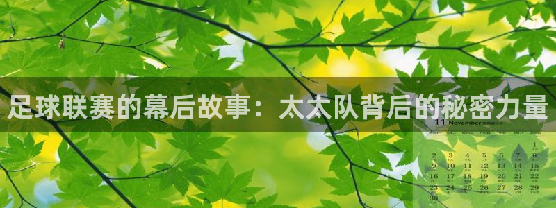 足球联赛的幕后故事：太太队背后的秘密力量