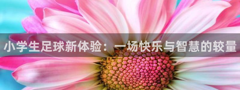 小学生足球新体验：一场快乐与智慧的较量