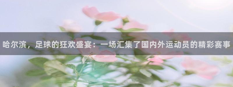  哈尔滨，足球的狂欢盛宴：一场汇集了国内外运动员的精彩赛事