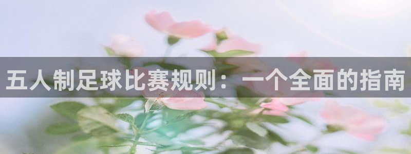 五人制足球比赛规则：一个全面的指南
