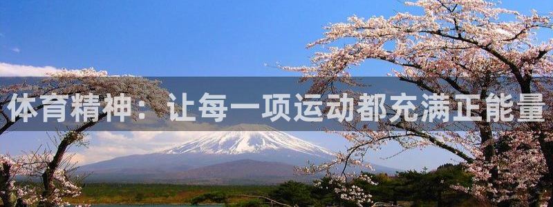 77体育