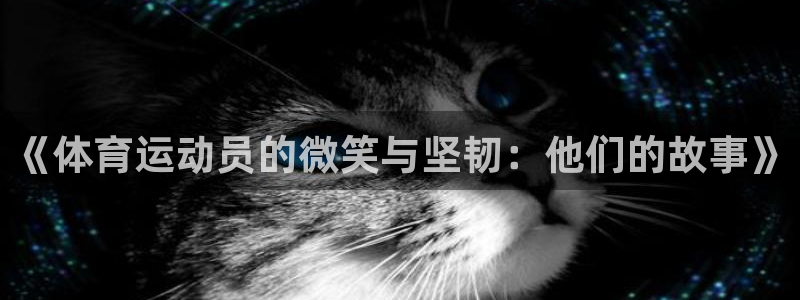 77体育