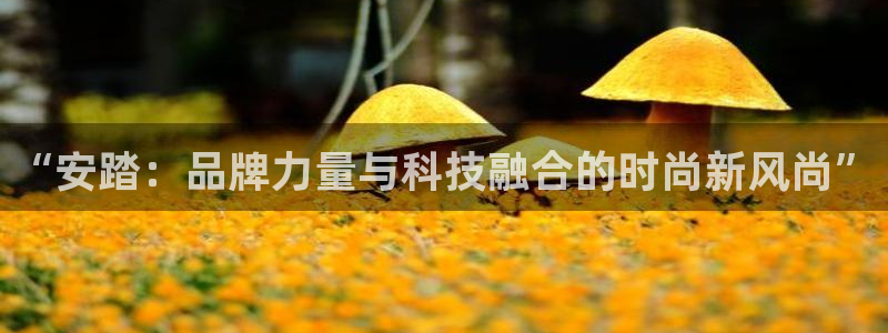 77体育app下载官网