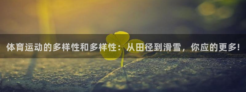 77体育官网