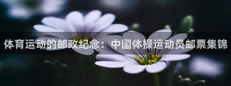 77体育官网
