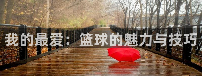 77体育官网