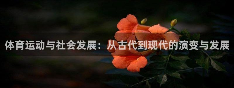 皇冠277体育