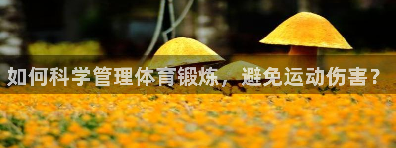 77体育app下载官网