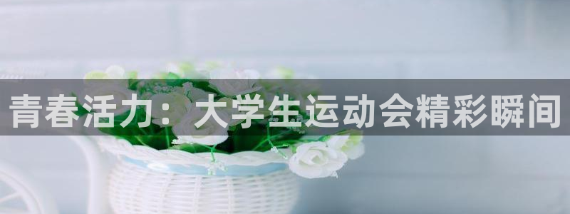77体育官网