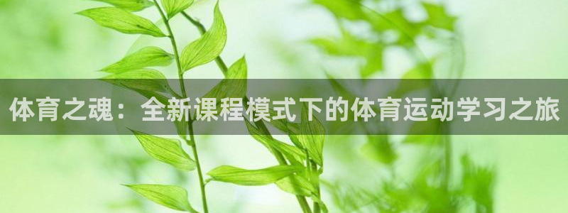 77体育
