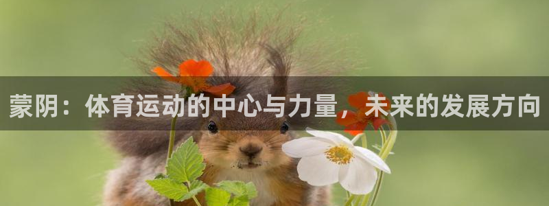 77体育官网