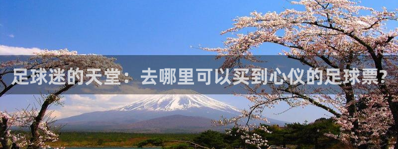 足球迷的天堂：去哪里可以买到心仪的足