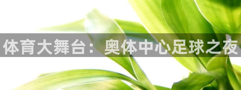 体育大舞台：奥体中心足球之夜