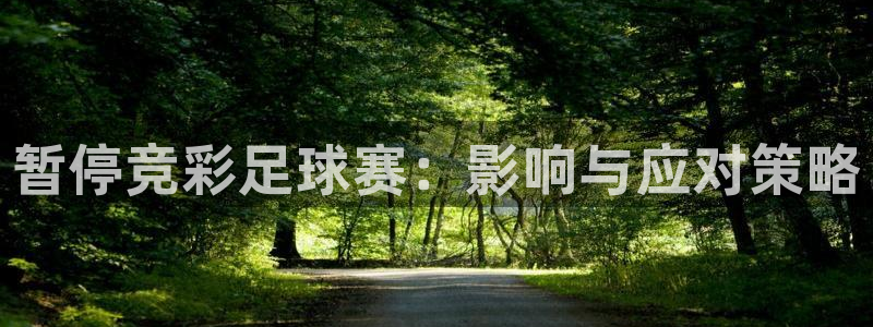 暂停竞彩足球赛：影响与应对策略