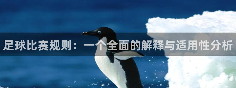 足球比赛规则：一个全面的解释与适用性