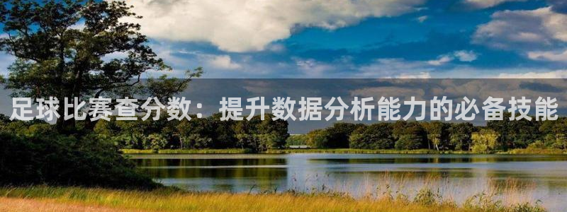 足球比赛查分数：提升数据分析能力的必
