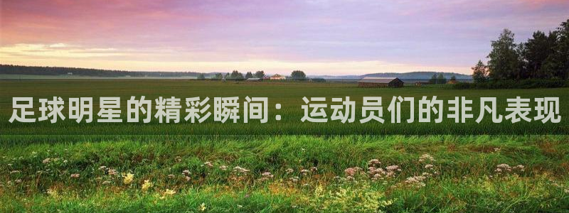 足球明星的精彩瞬间：运动员们的非凡表
